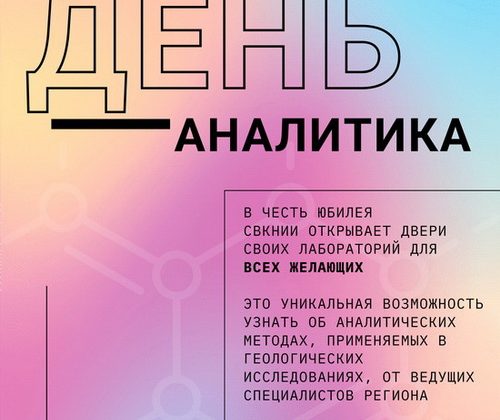 День аналитика