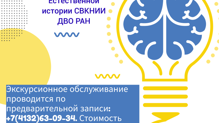 Обзорные и тематические экскурсии для детских лагерей на период летних каникул