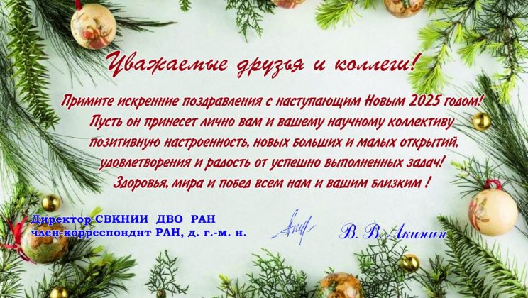 С Новым годом!